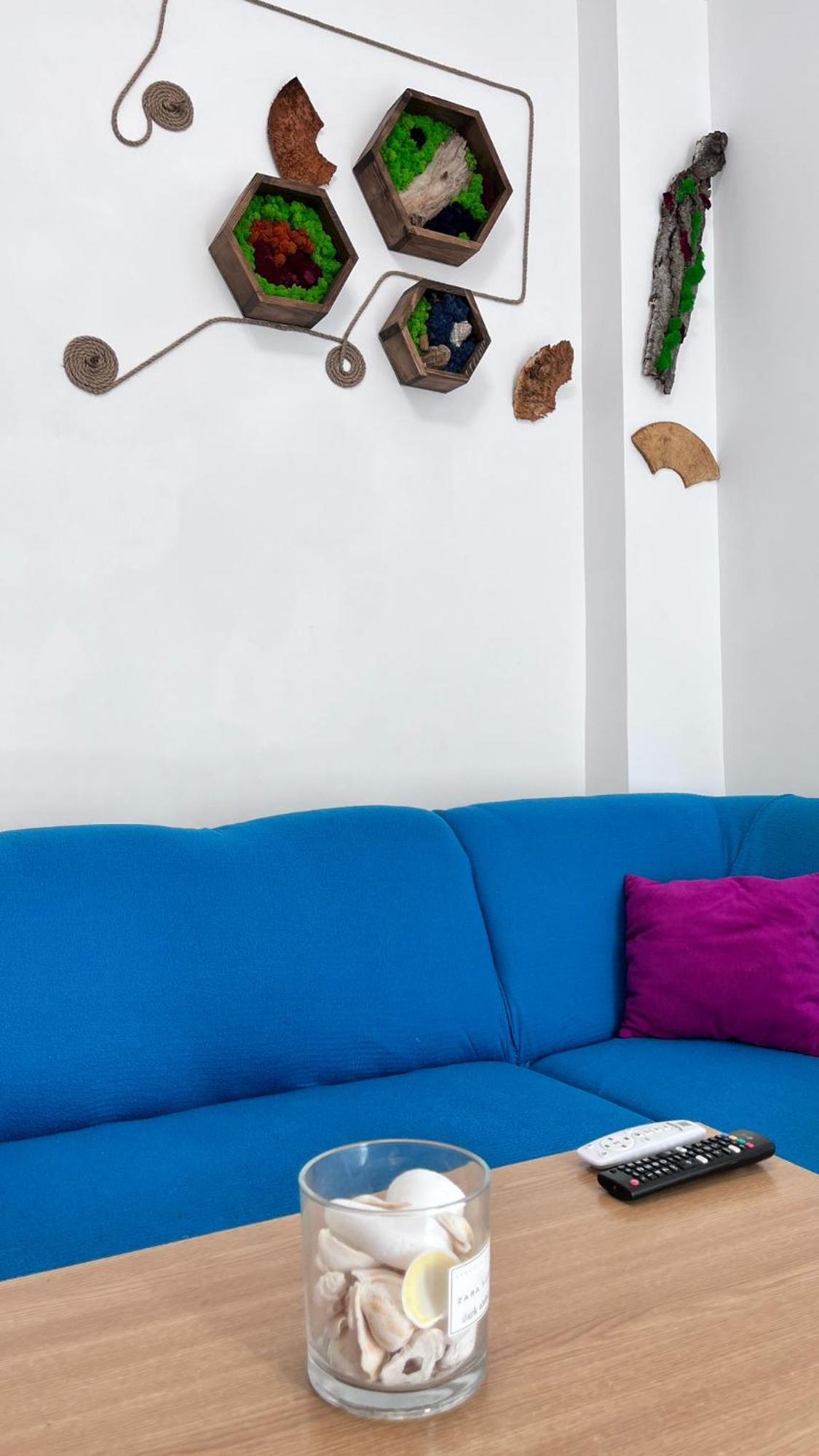Homestay Summer Vibe - La Curte